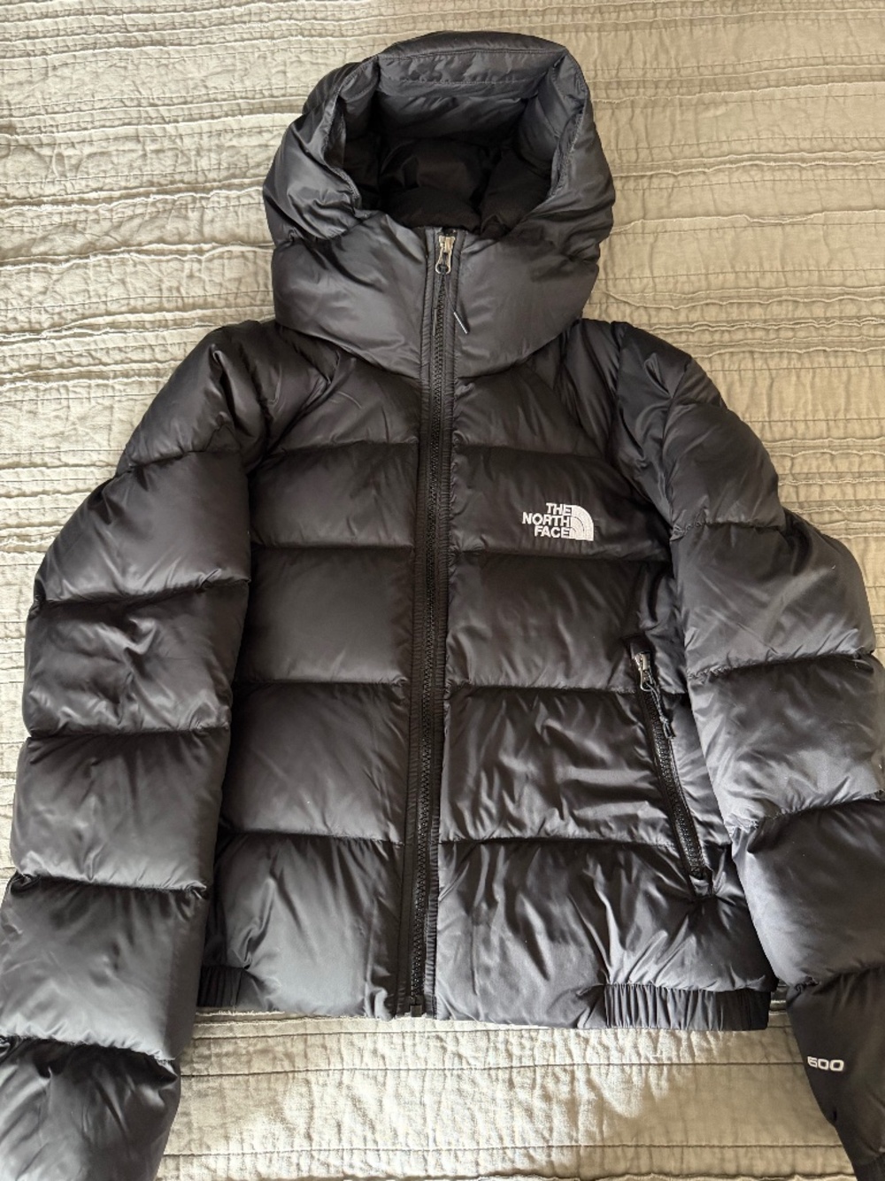 The North Face Hydrenalite Jacket with Hood